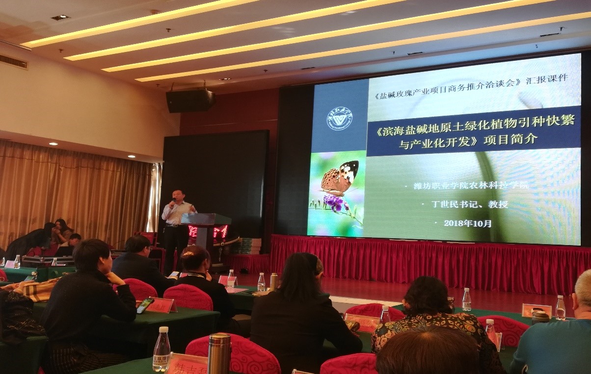 中心主持人在滨海经济开发区参加项目推介会