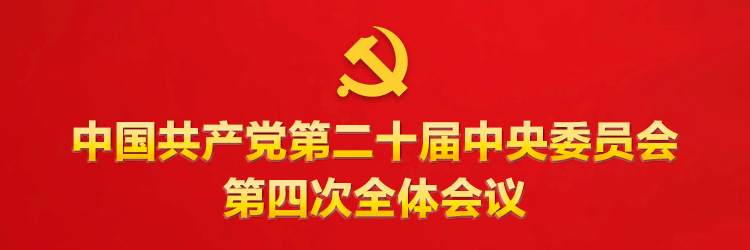 党的二十届四中全会